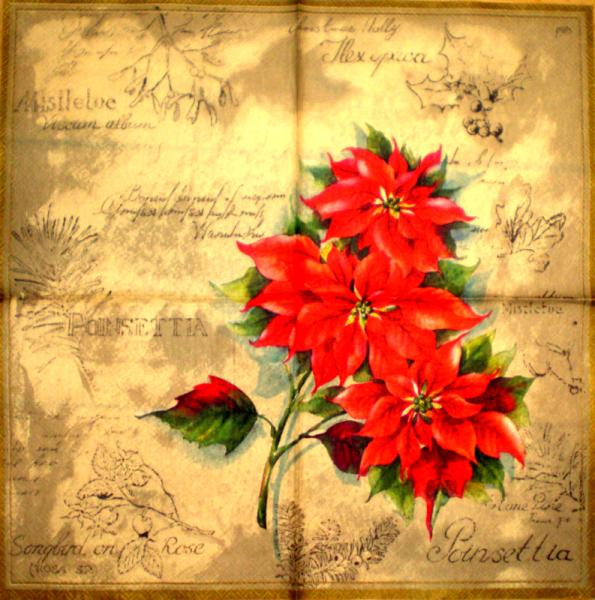 098 Christmas Flowers - 3-ply (beige) - Ihr